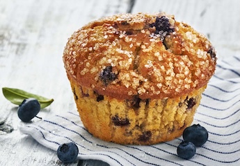 BLUEBERRY MUFFIN